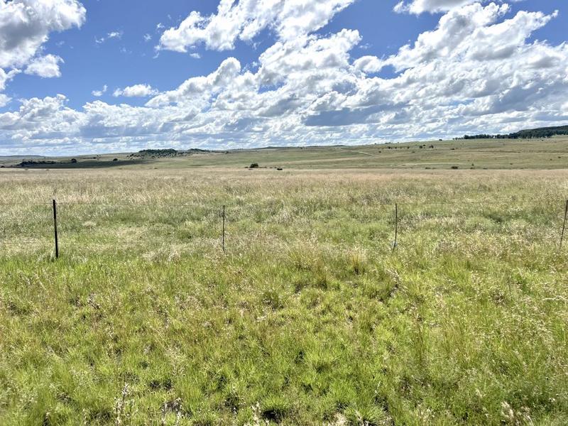 0 Bedroom Property for Sale in Lindley Free State